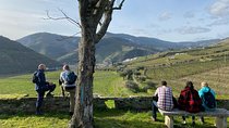 HIKING in the Douro Valley