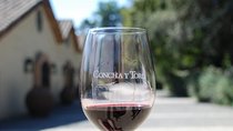 Concha y Toro Vineyard