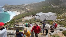 Private Cape Point Penguins Tour-Exploring the Cape Peninsula F/D