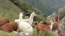 Inca Trail trek 2 Days / 1 night