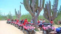ATV Desert & Beach ride over the mountains and through Migrino beach! 