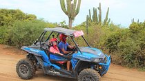 Cabo Wild Desert Tour, Polaris ATV or Razor Single, Double, Triple or Quad!
