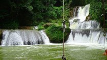 Appleton Estate, Ys Falls and Black River Safari Private Tour