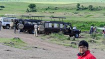 5 Days Manyara, Serengeti & Ngorongoro Camping Safari from Arusha