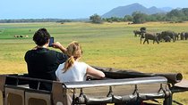 Yala Safari (5 Days, 4 Nights)