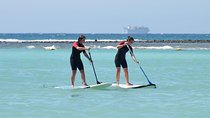 1,5-Hour Beginners Stand Up Paddle Course in Caleta de Fuste