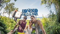 Konoko Falls and Park Private Tour 