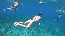 Snorkeling Experience Cozumel only from Playa del Carmen