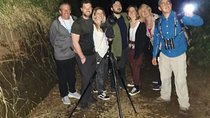 Monteverde Night Tour
