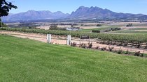  Wine Tasting in Stellenbosch, Franschhoek & Paarl fees included.