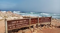 Private sightseeing tour; Cape of Goodhope, Cape Point & penguin tour