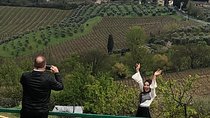 Montalcino and Pienza Tuscany Wine&Cheese Fullday from Florence