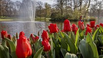 Luxury Private Transfer Tour to Keukenhof Lisse 