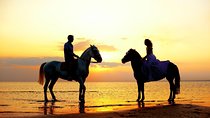 Love is in the air! Private horseback ride on the beach and sunset dinner!