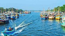 Negombo Lagoon, Dutch Canal and Muthurajawela Wetland Tour