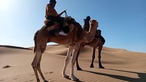 2 days Zagora Desert Tour from Marrakech