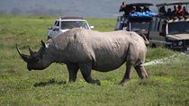 Ngorongoro Crater Day Trip Joining Safari From Arusha