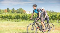 5-Days Guided Bike Tour in Istria with Private Accommodation