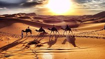 2 days Tour from Marrakech, Zagora Desert Camp