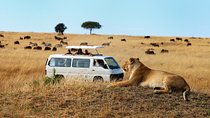 Nairobi Airport Layover Half Day Tour Nairobi National Park