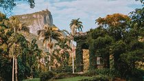 Rio de Janeiro Botanical Garden & Tijuca Forest Tour