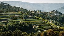 Premium Private Douro & Vinho Verde Tour: Wine Tastings & Lunch