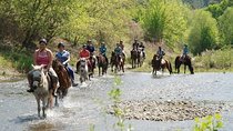 Kusadasi Horseback Riding