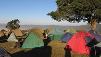 5Days Camping Safari: Ngorongoro, Serengeti, Lake Manyara & Tarangire