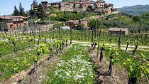 Tour of Chianti for small groups departing from Florence or surroundings
