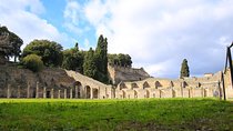 Skip-the-line Shore Excursion from Naples Cruise Port to Pompeii & Herculaneum 