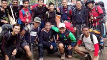 Mount Rinjani Crater Rim Trek 2 Days 1 Night Sharing Tour