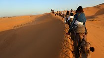 3 Days Desert Tour From Marrakech & Back, Share & private