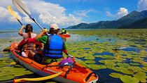 Kayak Guided Tour Skadar lake - Adventure in National park