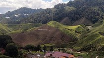 Cameron Highlands Day Trip