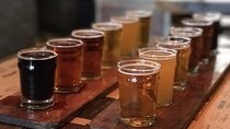 Craft Beer Tasting Experience