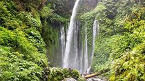 Sendang Gile and Tiu Kelep Waterfall Tour - Private Day Tour