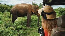 Udawalawe National Park Safari With Traveling Mirissa/ Weligama To Ella