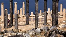 Jerash, Ajloun, & Um Qais Day Tour from Amman