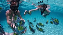 Bali Best SNORKELING at BLUE LAGOON and EAST BALI TOURS 