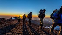 The best 6-Days Kilimanjaro hiking (Machame route)whiskey route