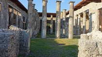 Private 8-hour Excursion of Naples and Pompeii from Naples Cruise Port or Hotel