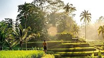 Best of Ubud - Full day Tour + FREE WI-FI