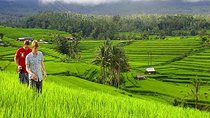 DISCOVER The Beauty of Bali with Private Car Tours