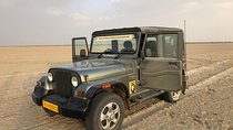 Private: Sambhar Salt Lake & Off Roading Tour From Jaipur Including Lunch