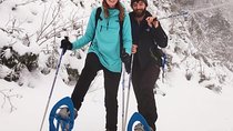 SnowShoe Walking Tour in Poiana Brasov