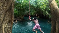 Kikuletwa Chemka Hot Spring Day Tour from Arusha