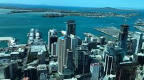 Auckland City Sightseeing by hourly booking
