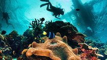 Discover Scuba Diving