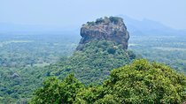 Sigiriya and Dambulla Day Tour | From Kandy