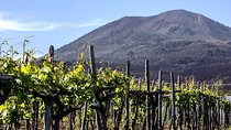 Pompeii, Herculaneum, Mt Vesuvius, Winery Tasting & Lunch pack